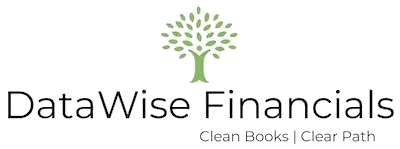 DataWise Financials - Clean Books. Clear Path.